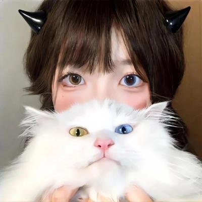 人鱼先生
